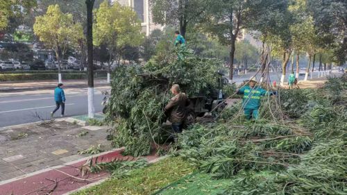 园林绿化垃圾处理迎发展风口,这三个行业值得关注