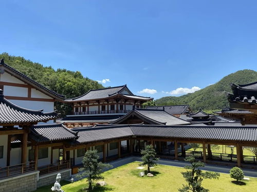 预约 寺院建筑与设计展,不可错过的视觉盛宴