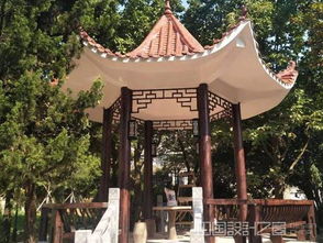 仿古建筑木纹漆优选石家庄红杉彩艺
