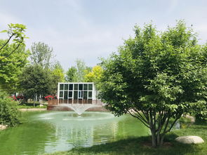 第二天 心灵震撼的北京乡土苗木