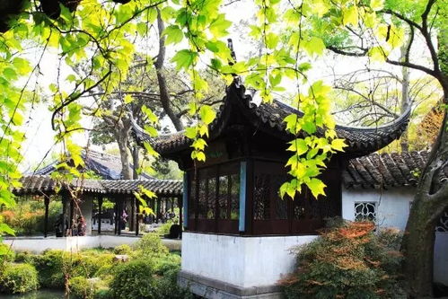 江南水乡 苏州古建筑的布局及特点