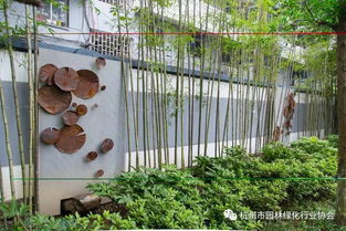 2017年度杭州市优秀园林绿化工程道路组金奖 莫干山路综合整治景观工程