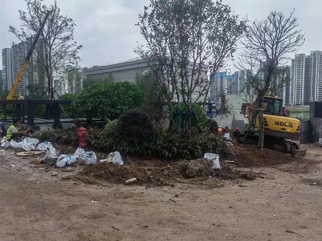 图文来了 #园林景观工程 #施工现场实拍 这下雨天,真干不