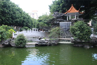 开心广场,百姓舞台 增彩大公园扩展小公园