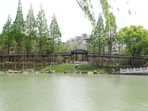 亲水平台 仿古建筑 古运河东岸 上新 喽