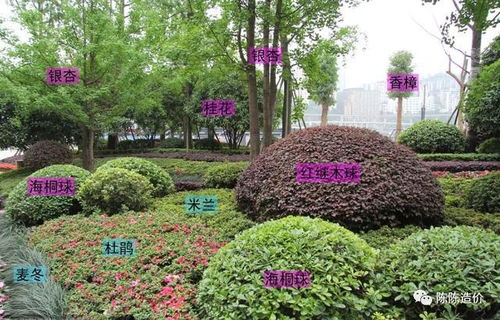 绿化养护期到底从哪开始计 结算审计