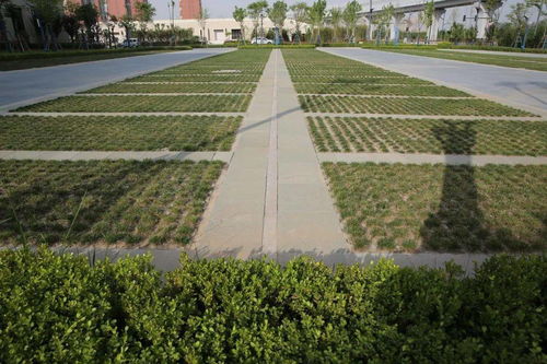 陕建古建园林集团荣获园林工程奖 铜奖