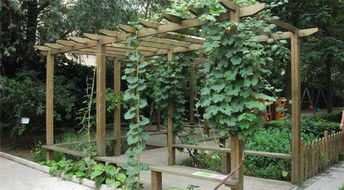 阳台仿木花架 河南仿木花架 北方园林古建