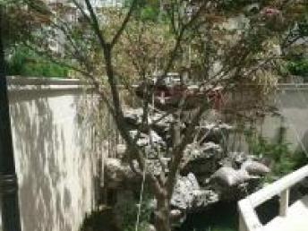 图 别墅景观设计施工庭院设计绿化施工公园道路绿化 天津设计策划