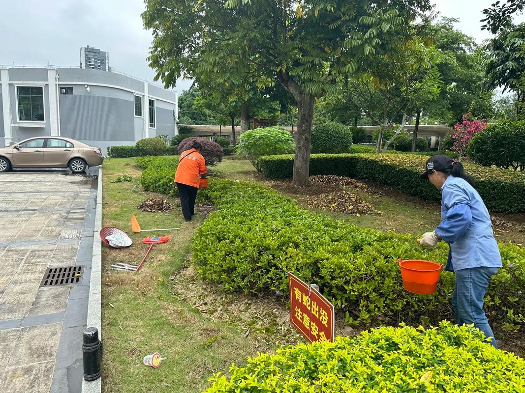 园林养护施工中#苗木种植基地 #园林绿化工程苗木人