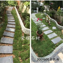 园林绿化工程施工 从规划到养护的全程解析