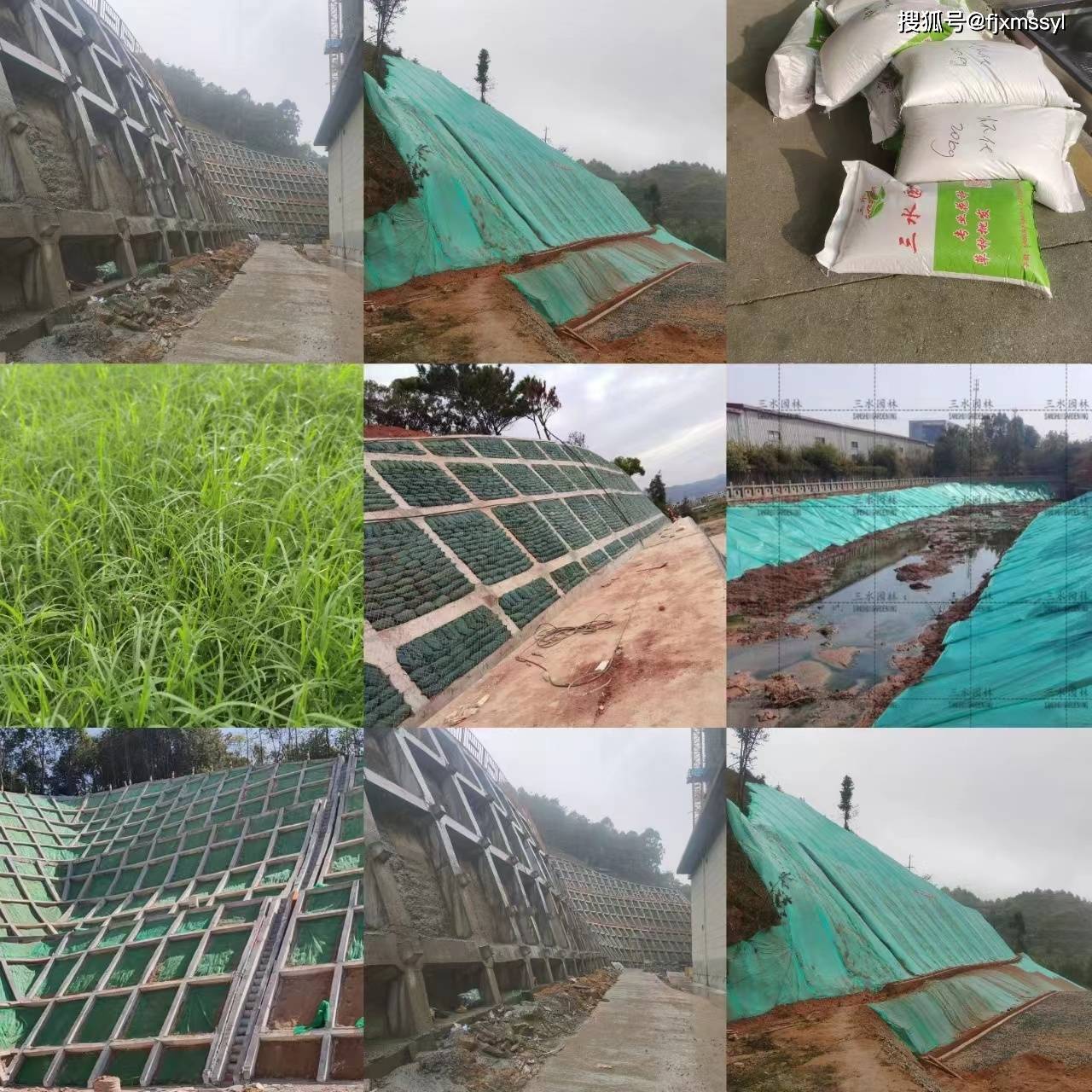 园林绿化景观花海工程施工流程